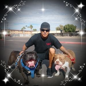 Meet your Posher, Gilbert